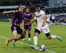 球天下体育直播-悉尼lidcombe